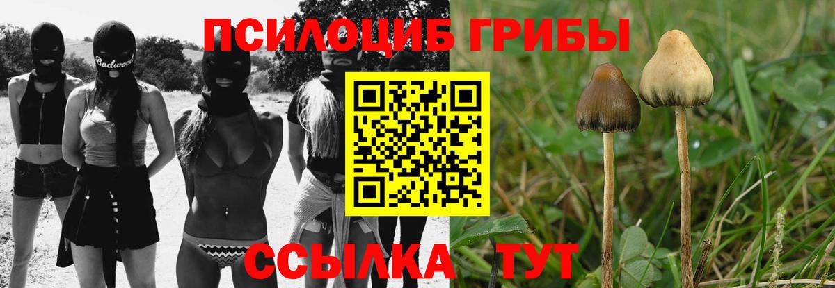 Псилоцибиновые грибы ЛСД  Вход с VPN  Калининград 